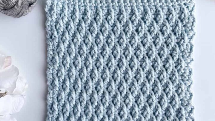 Image for Alpine Stitch Crochet Stitch Photo and Video Tutorial