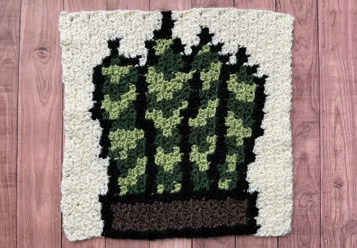 A close up of a crochet blanket square with a snake plant design, laying flat on a table.